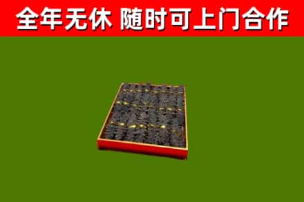 大兴安岭回收海参